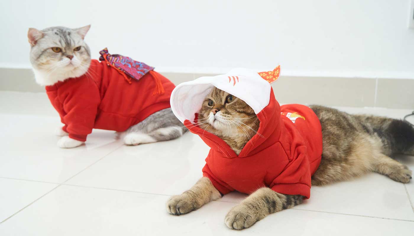 World Pet Canada