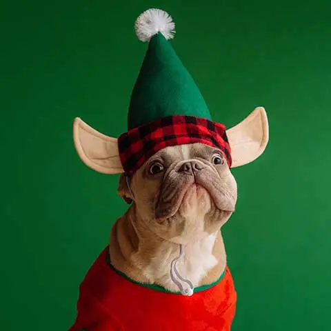 World Pet Canada