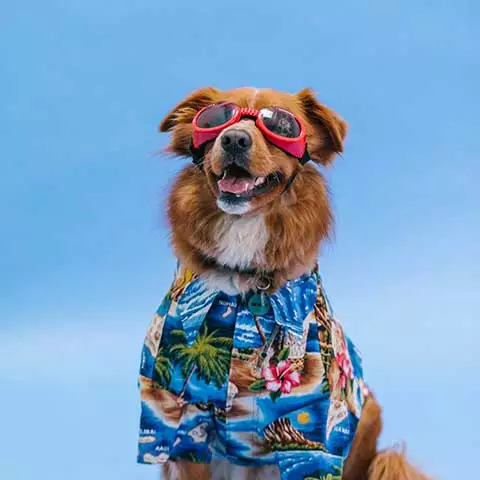 World Pet Canada
